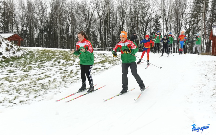 lyzhi_09.jpg