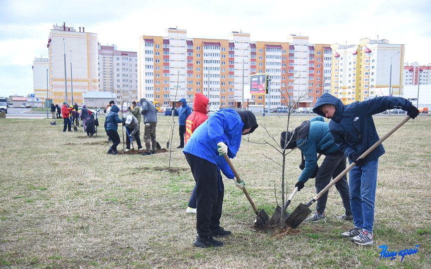 subbotnik-gorod-12.JPG