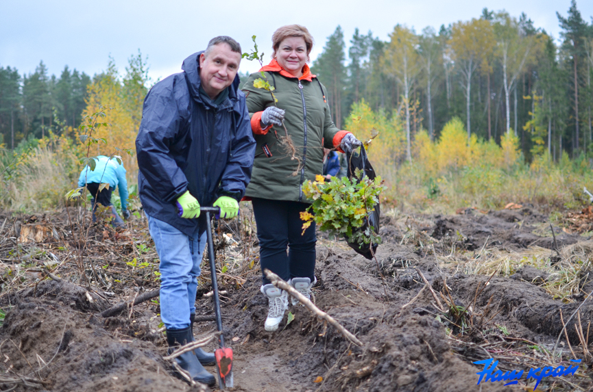 les-(8).jpg les-(8).jpg