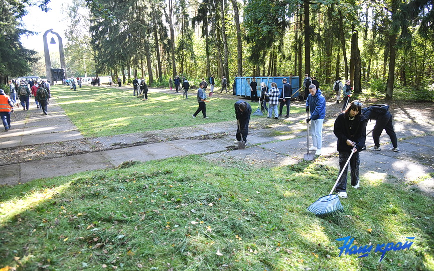 mesyachnik-uborka- (19).JPG