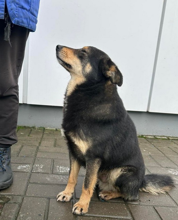 photo_2025-12-15_15-42-46 (4).jpg