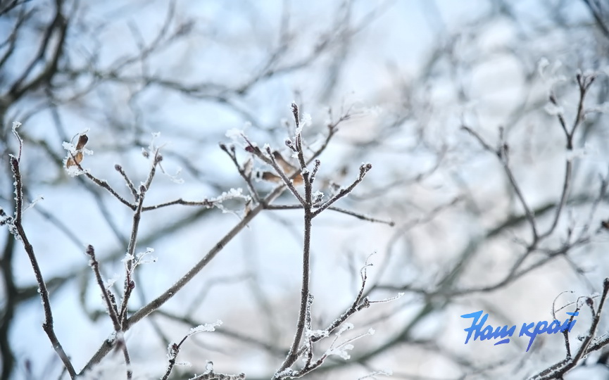 pogoda-zima-18-01 (12).JPG