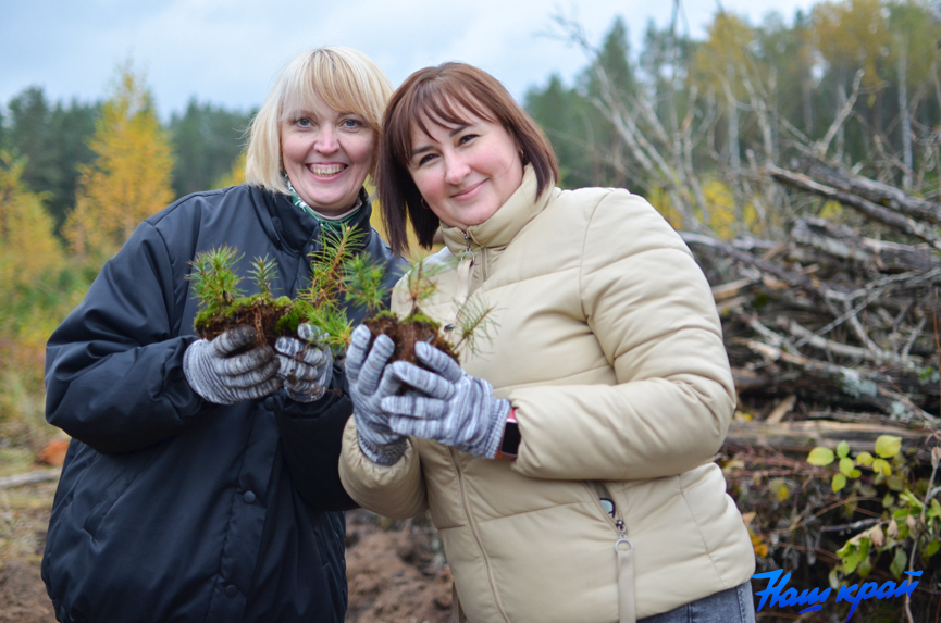 les-(14).jpg les-(14).jpg