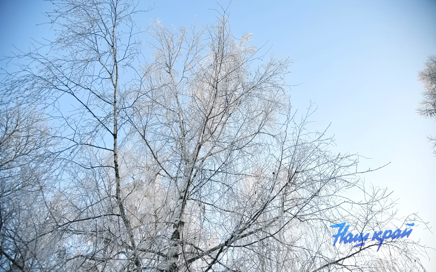 pogoda-zima-18-01 (9).JPG