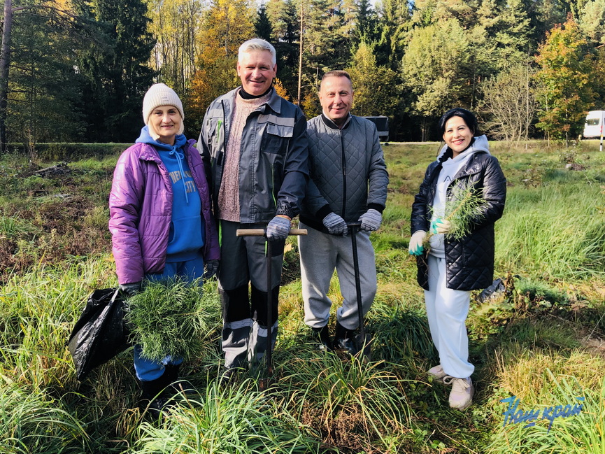 IMG_0934.jpg IMG_0934.jpg