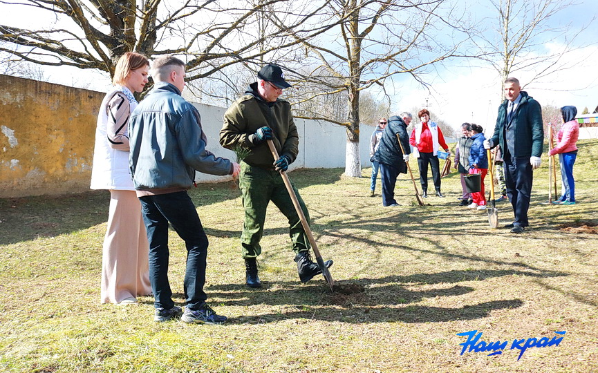 posadka-derevjev-14.JPG