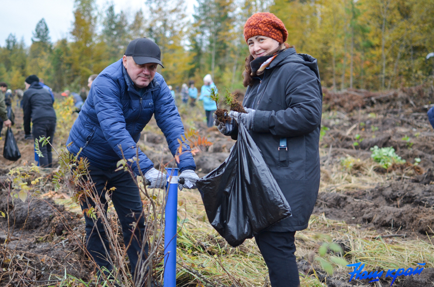 les-(13).jpg les-(13).jpg