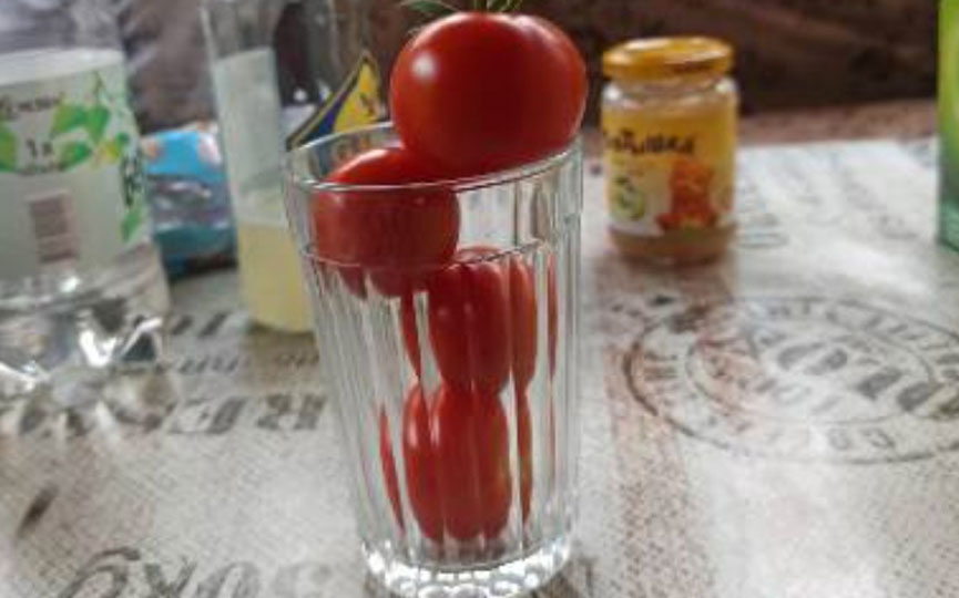 tomaty-1.jpg