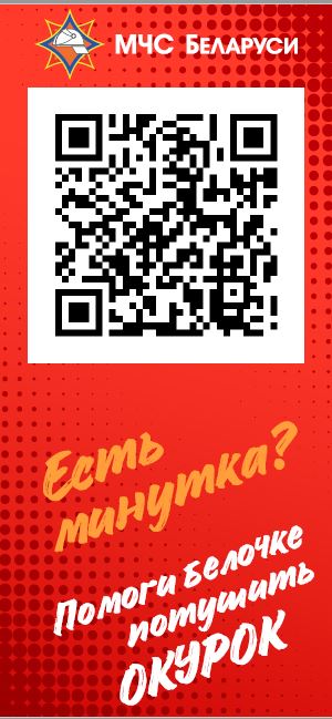 pazly-mchs-pomogi-belochke3.JPG