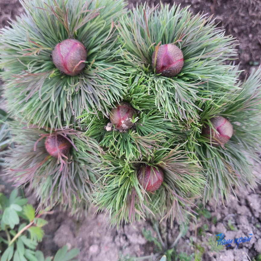 photo_2026-04-15_22-39-43 (3).jpg photo_2026-04-15_22-39-43 (3).jpg