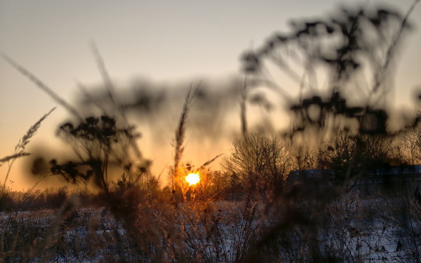 photo_2026-02-01_19-54-31 (4).jpg