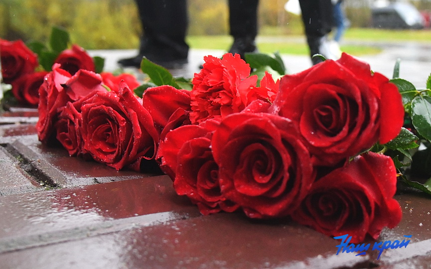 25-10-25-01-(6).jpeg 25-10-25-01-(6).jpeg