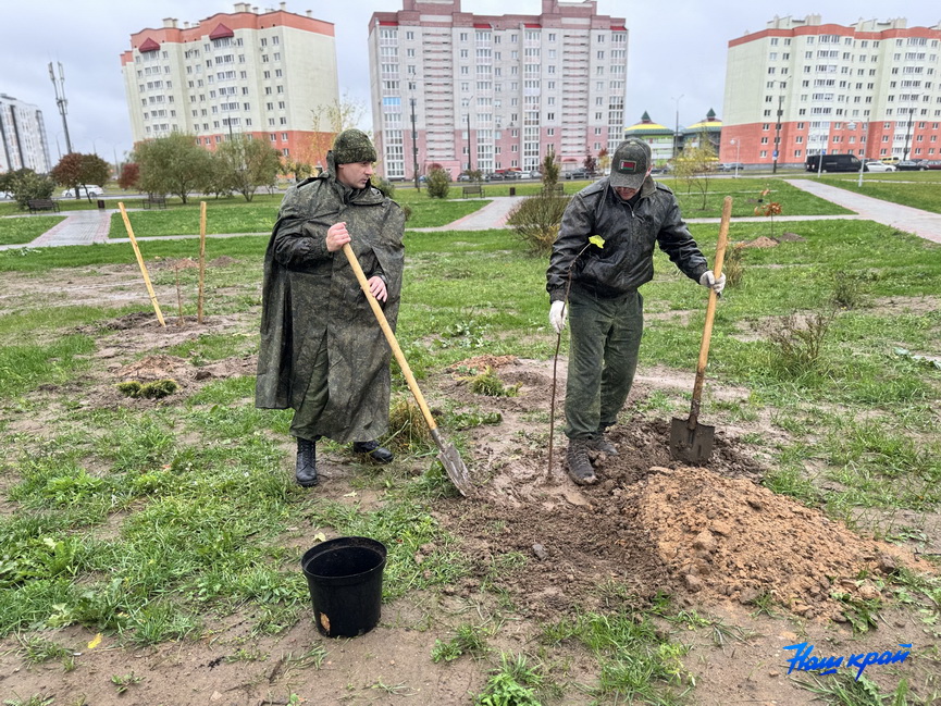 subbotnik-(7).jpeg subbotnik-(7).jpeg