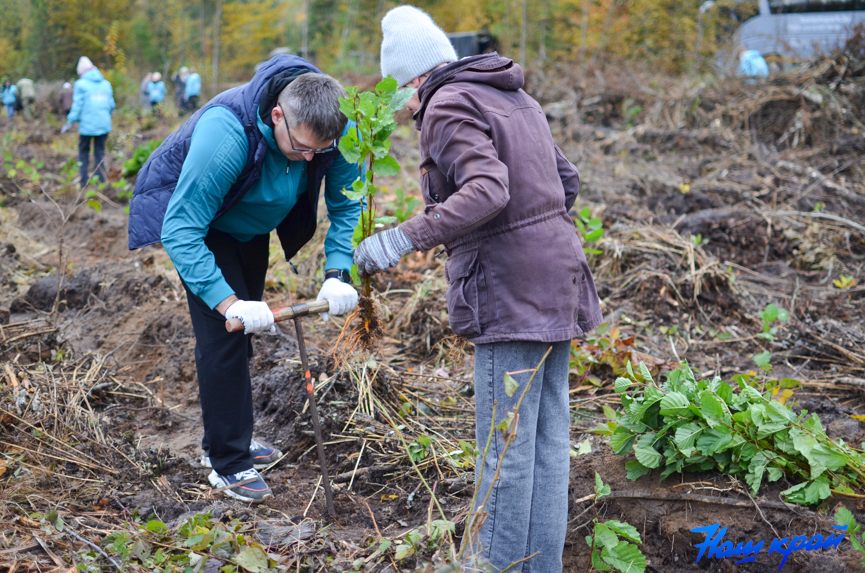 les-(12).jpg les-(12).jpg