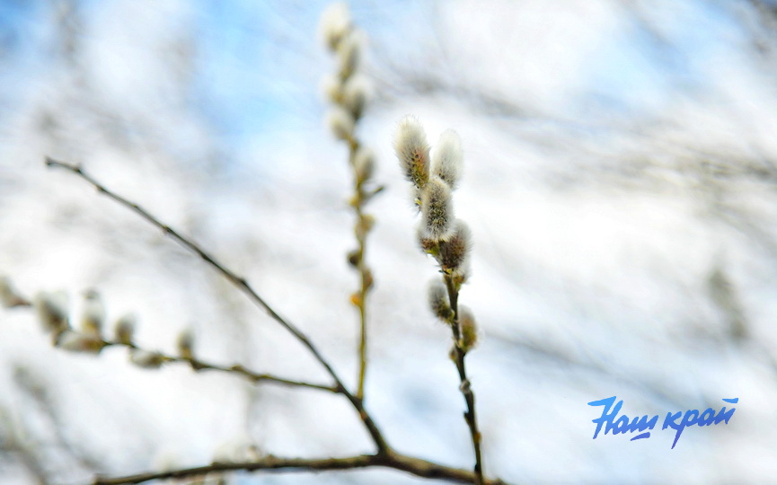 pogoda-vesna-mart (2).JPG