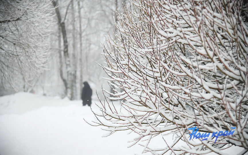 zima-28-01_0023 (9).JPG