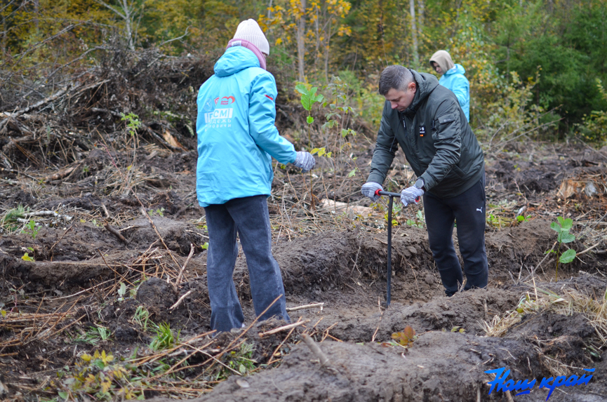 les-(9).jpg les-(9).jpg