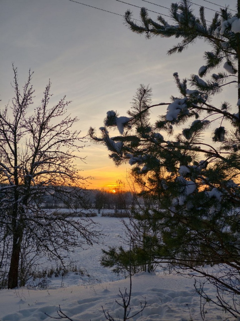 photo_2026-01-19_18-30-28.jpg photo_2026-01-19_18-30-28.jpg