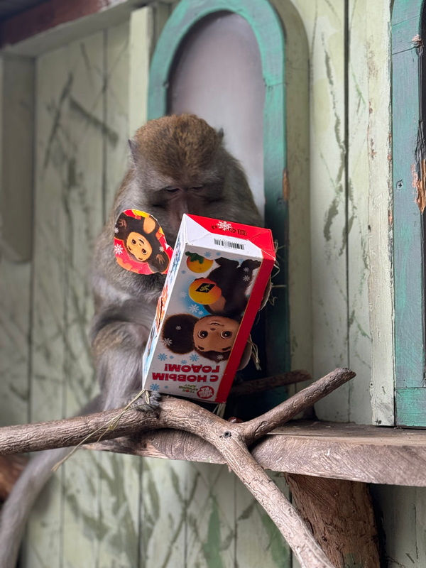 photo_2025-12-11_09-43-09 (4).jpg