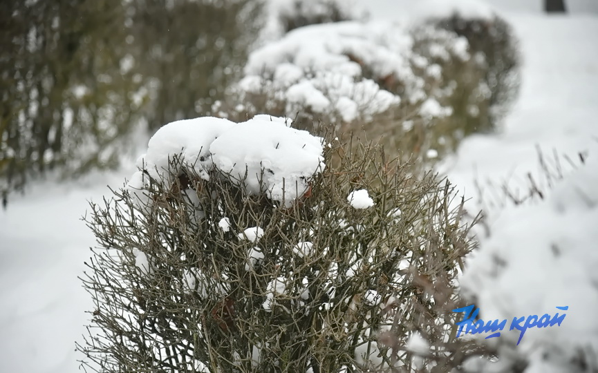 zima26-01-26 (7).JPG