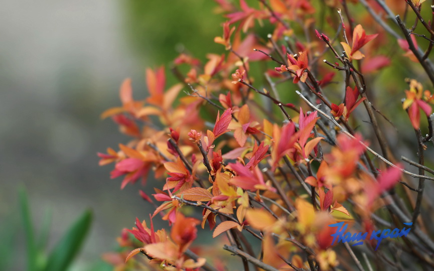 pogoda-8-04 (17).JPG