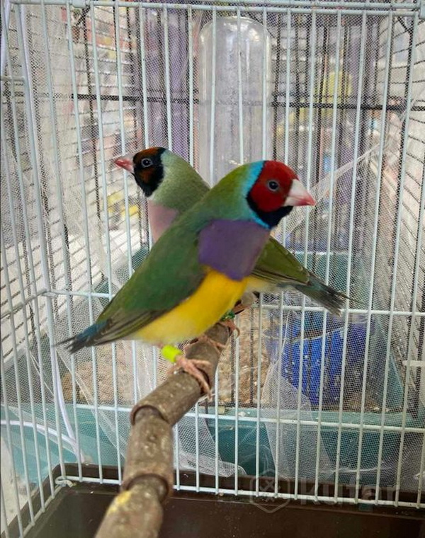 1231-22102025.jpg 1231-22102025.jpg