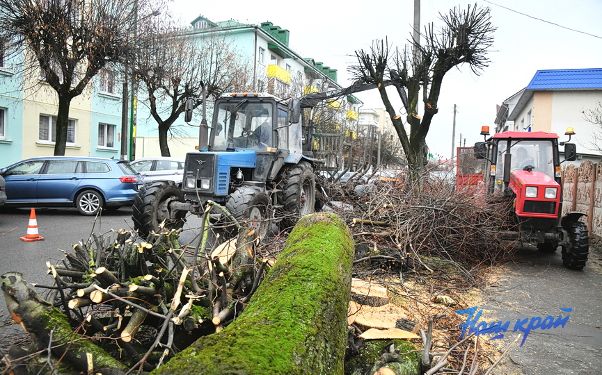 derevjya-obrezka (2).JPG