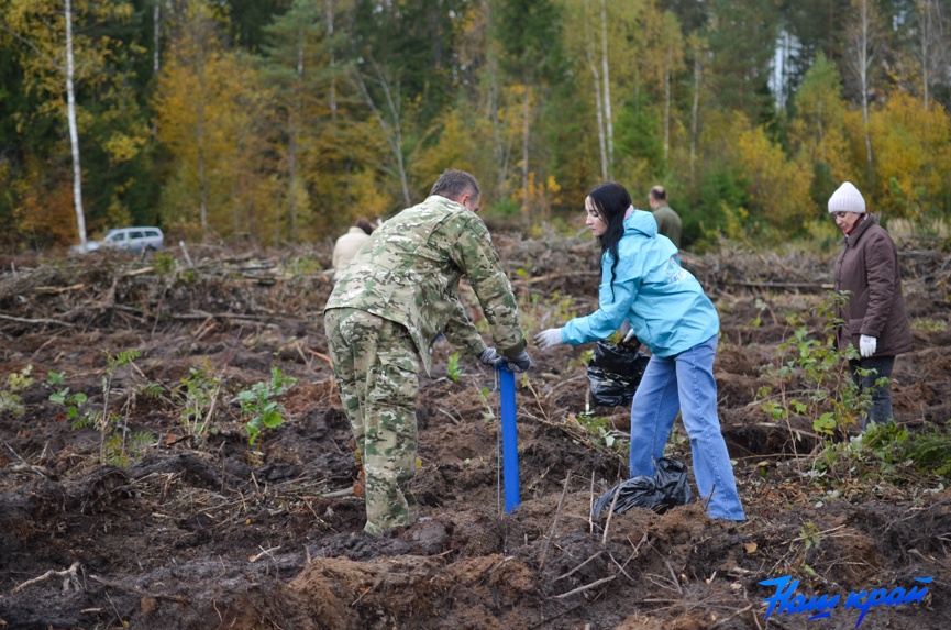 les-(25).jpg les-(25).jpg