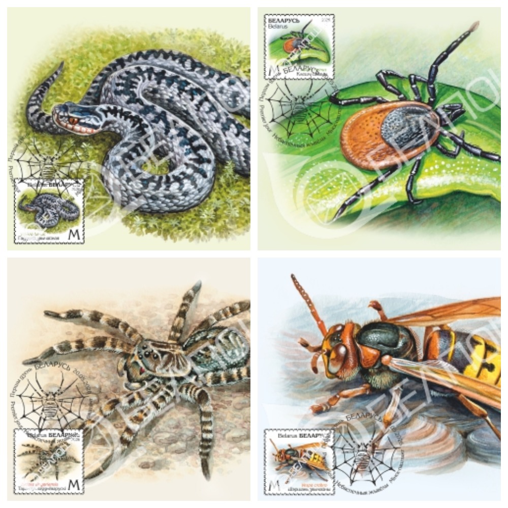 MyCollages (94).jpg