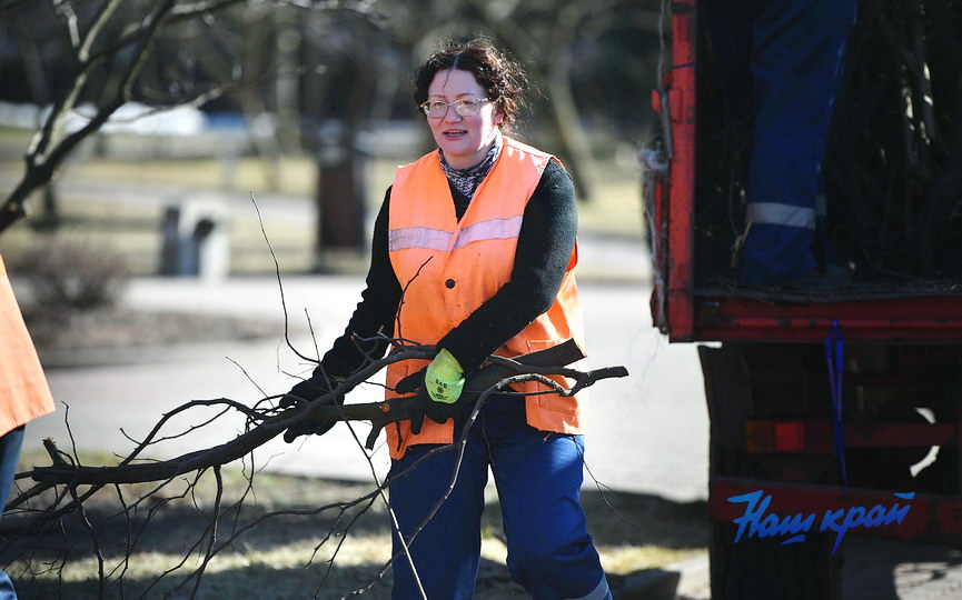 obrezka-derevya (3).JPG