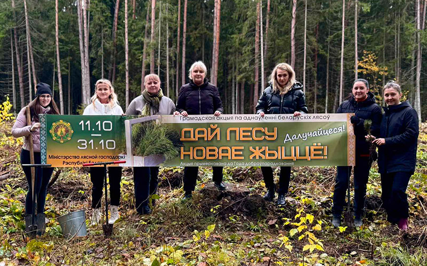 2025-10-31_16-31-40-535.jpg 2025-10-31_16-31-40-535.jpg