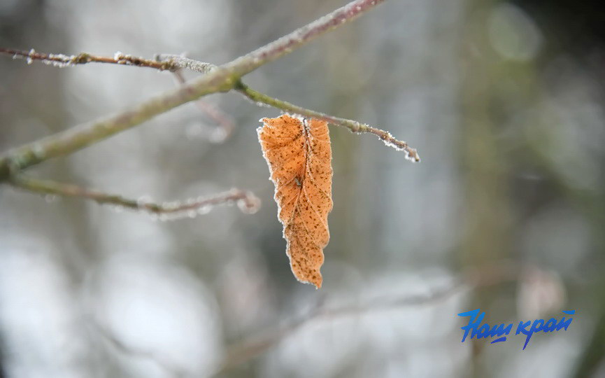 zima26-01-26 (13).JPG