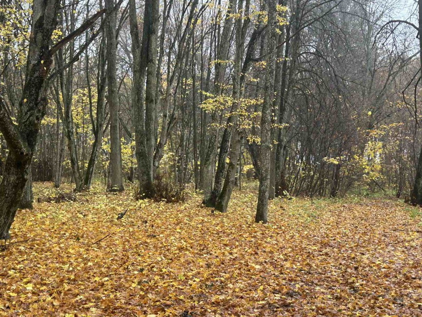 25-10-(5).jpeg 25-10-(5).jpeg