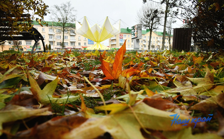 pogoda-1-dekabrya- (9).JPG