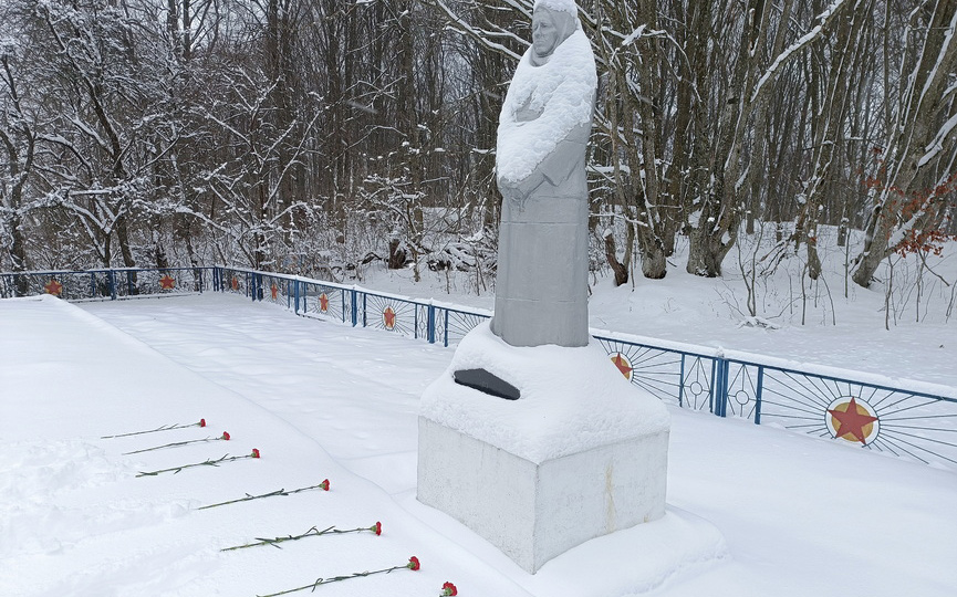 gorodizhe-(4).jpg