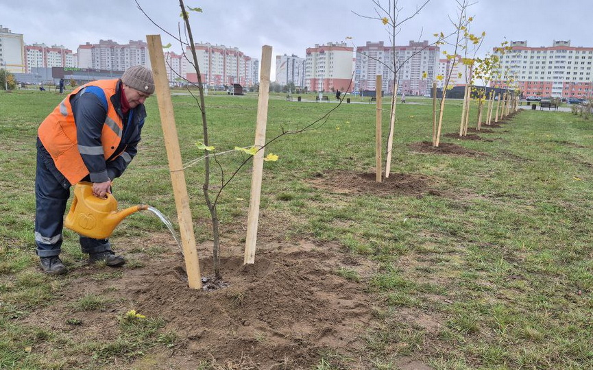 IMG_6036.jpeg IMG_6036.jpeg