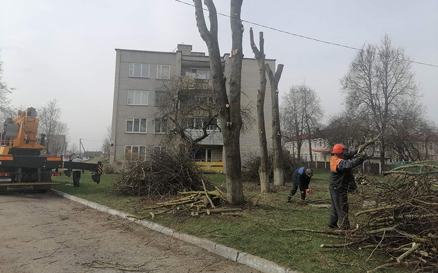 obrezka-derevjev-3.jpg