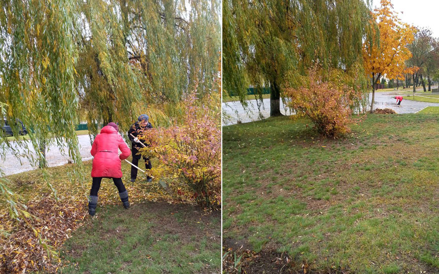 photo_2025-10-25_12-46-56.jpg photo_2025-10-25_12-46-56.jpg