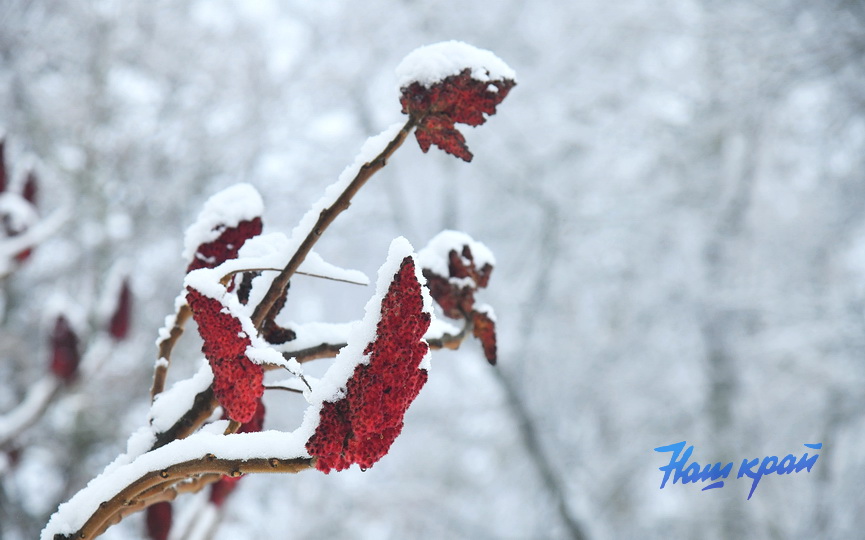 zima-28-01_0023 (4).JPG