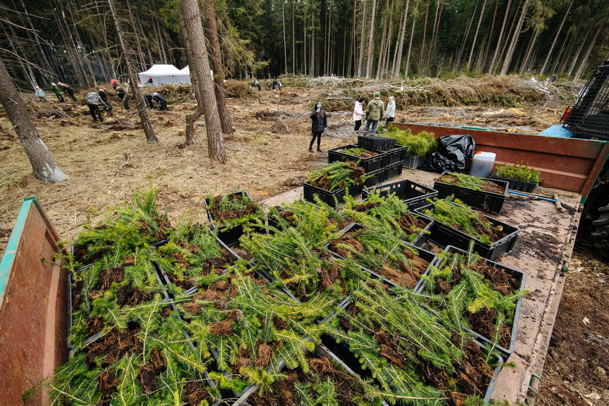 0210_resized.jpg 0210_resized.jpg