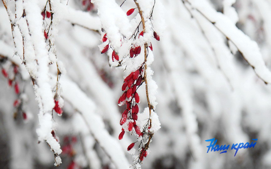 zima-28-01_0023 (7).JPG