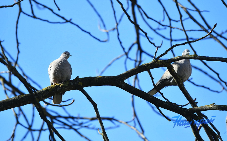 pogoda-vesna-mart (5).JPG