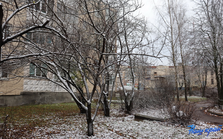 sneg-zima-28-11_04.jpg