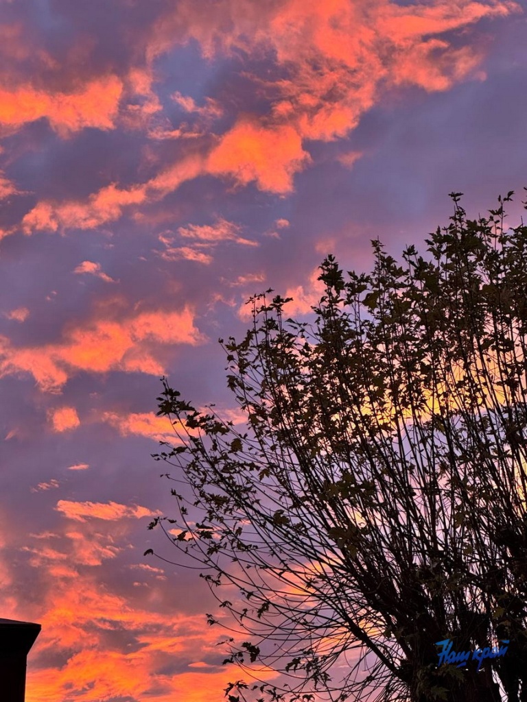 photo_2025-11-06_17-46-22.jpg photo_2025-11-06_17-46-22.jpg