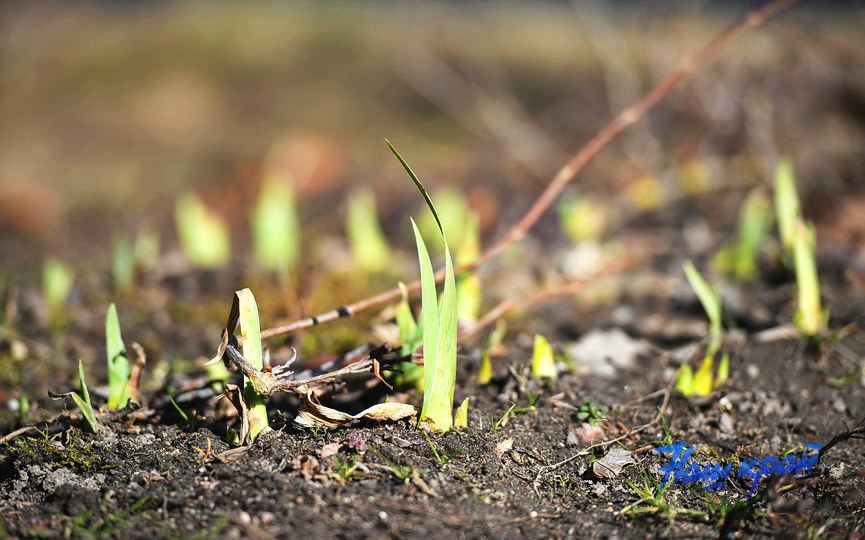 pogoda-vesna-mart (12).JPG