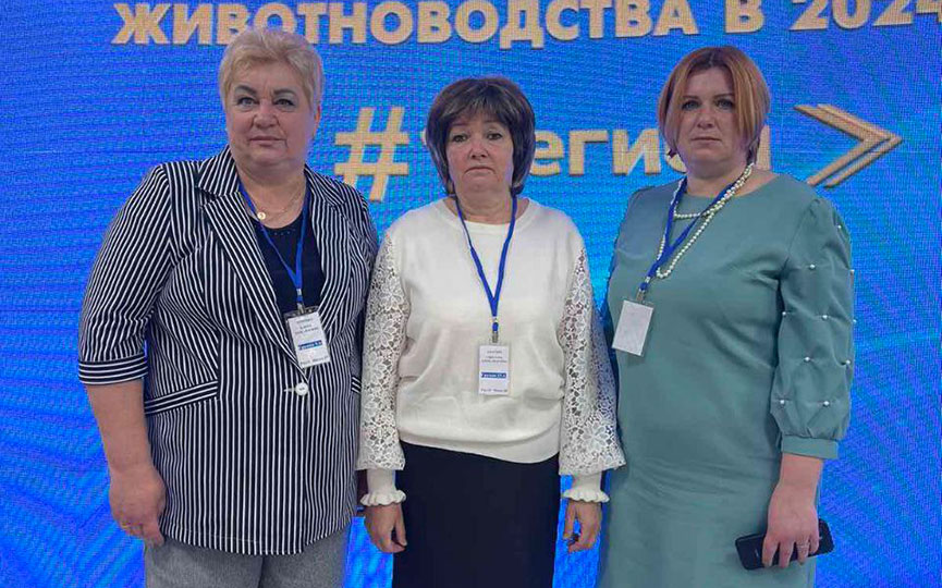 2025-04-11-(3).jpg