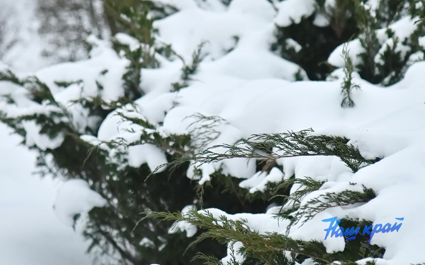 pogoda-yanvar- (3).JPG