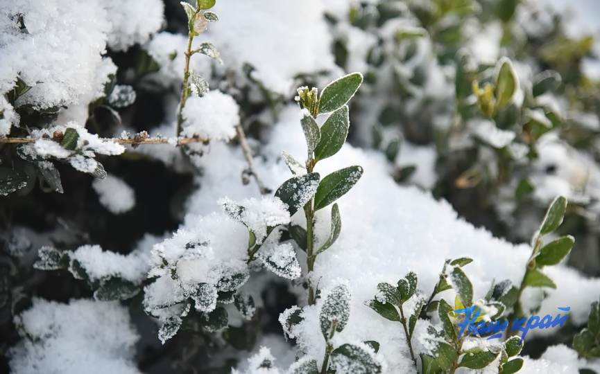 pogoda-19-01 (5).JPG