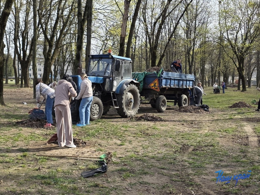 photo_2026-04-15_17-10-25.jpg photo_2026-04-15_17-10-25.jpg