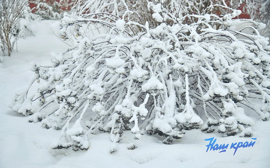 zima-28-01_0023 (5).JPG